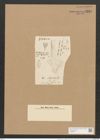 Schizonema setaceum var. polyclados (Ktz.) Grun. (de-Toni-Nr.: Genus 20, Species 1192) Zeichnungen Sammlung Grunow Nr. 2299 (NHMW-BOT-W0369421)